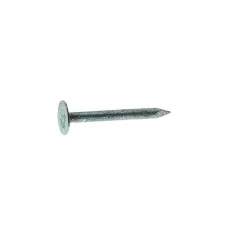Common Nail, 1 In L, 2D, Steel, Electro Galvanized Finish, 11 Ga